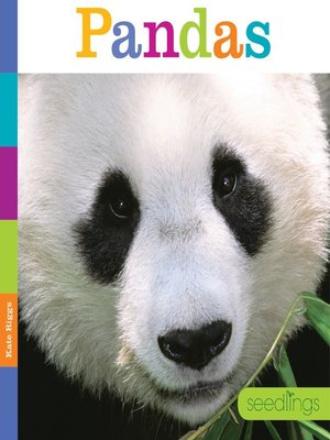 cover image of Pandas